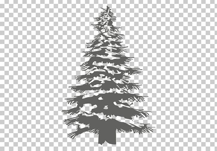 Christmas Tree Pine Fir PNG, Clipart, Artificial Christmas Tree, Black And White, Christmas Decoration, Christmas Ornament, Christmas Tree Free PNG Download