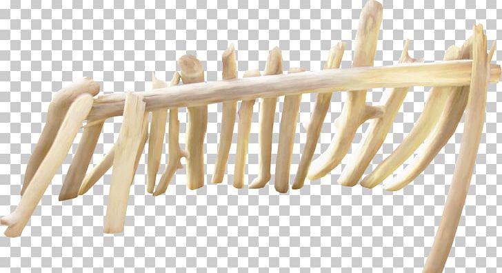 Fence Garden Palapa Wood PNG, Clipart, Augers, Clothes Hanger, Deck Railing, Door, Fence Free PNG Download