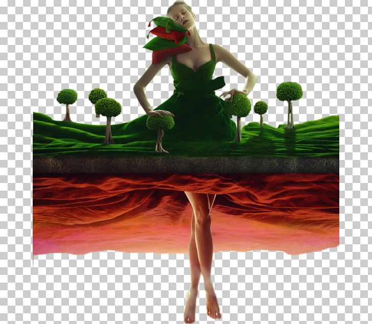 Photo Manipulation Photography Surrealism Collage PNG, Clipart, Amphibian, Art, Artist, Collage, Digital Art Free PNG Download
