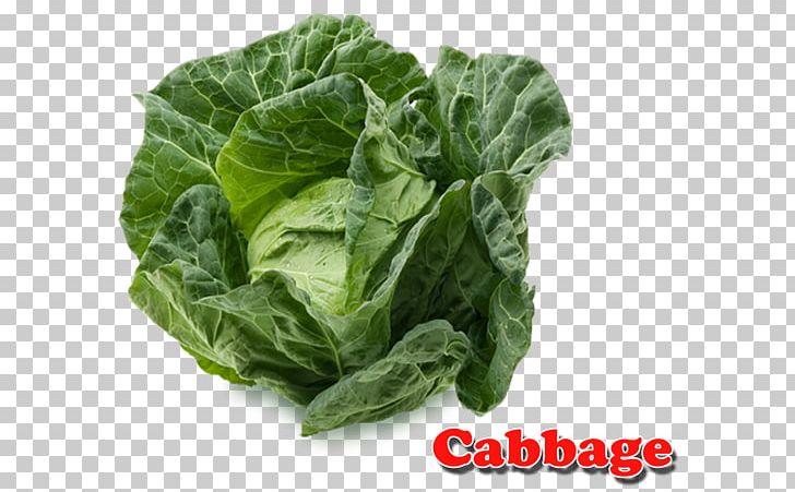 Spinach Cabbage Vegetarian Cuisine Vegetable Collard Greens PNG, Clipart, Apr, April 30, Cabbage, Chard, Chinese Broccoli Free PNG Download