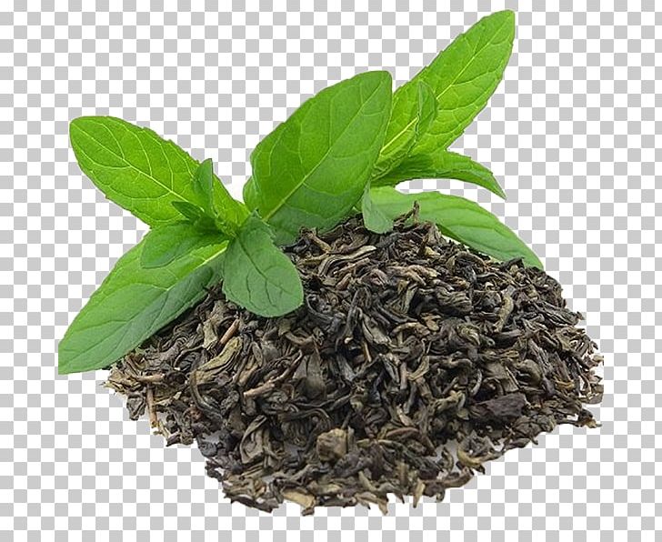 Green Tea Darjeeling White Tea Oolong Tea Leaf Grading PNG, Clipart, Assam Tea, Black Tea, Ceylon Tea, Crush Tear Curl, Da Hong Pao Free PNG Download