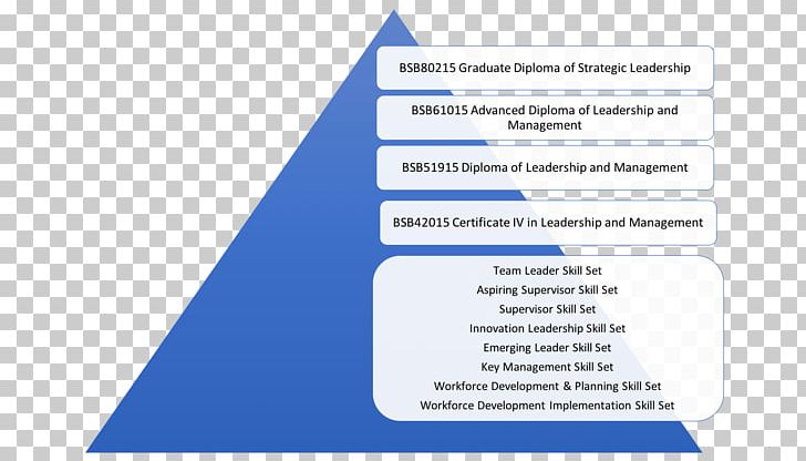 Leadership Organization Management Training Professional Certification PNG, Clipart, Academic Certificate, Angle, Area, Brand, Diagram Free PNG Download