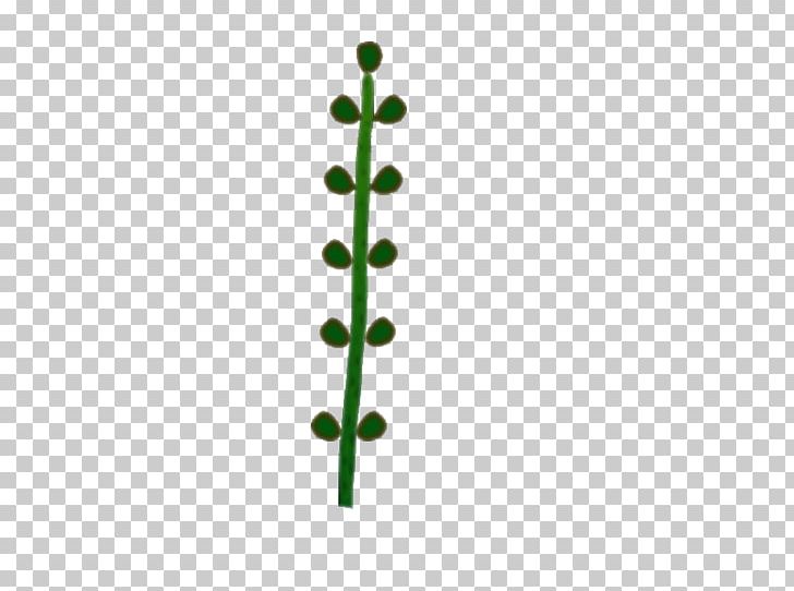 Leaf Line Green Angle Plant Stem PNG, Clipart, Angle, Grass, Green, Leaf, Line Free PNG Download