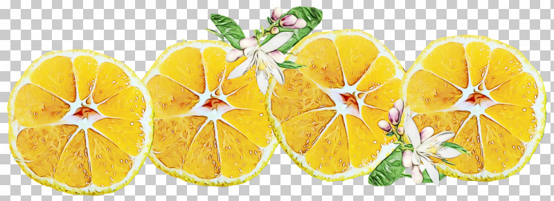 Vegetarian Cuisine Vegetable Yellow Fruit Flower PNG, Clipart, Flower, Fruit, La Quinta Inn Suites, Paint, Vegetable Free PNG Download