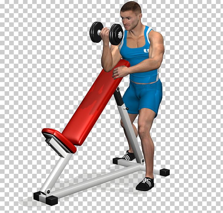 Biceps Curl Bench Press Dumbbell Exercise PNG, Clipart, Arm, Barbell, Bench, Bench Press, Biceps Free PNG Download
