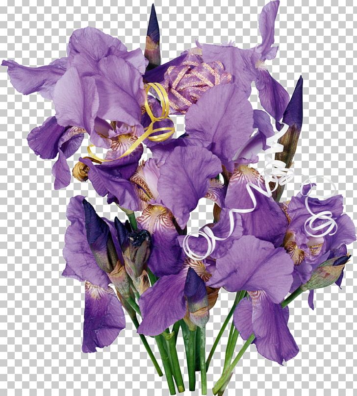 Cut Flowers Irises Wall Iris Flower Bouquet PNG, Clipart, Cattleya, Cut ...