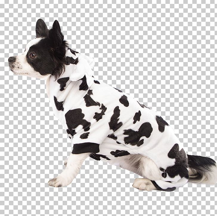 Dog Breed Non-sporting Group Companion Dog Breed Group (dog) PNG, Clipart, Animals, Breed, Breed Group Dog, Carnivoran, Clothing Free PNG Download