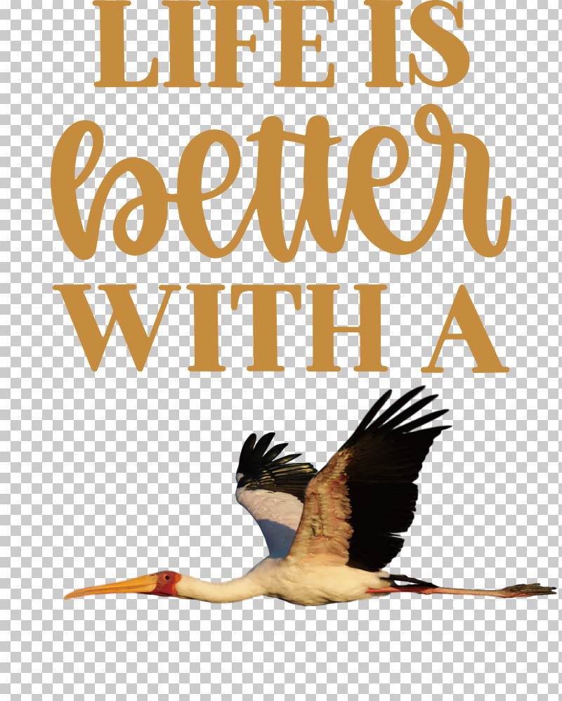 Life Better PNG, Clipart, Argus, Beak, Better, Biology, Birds Free PNG Download