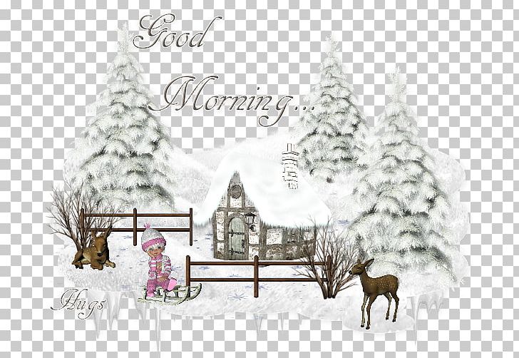 Christmas Tree Winter Photograph Morning PNG, Clipart,  Free PNG Download
