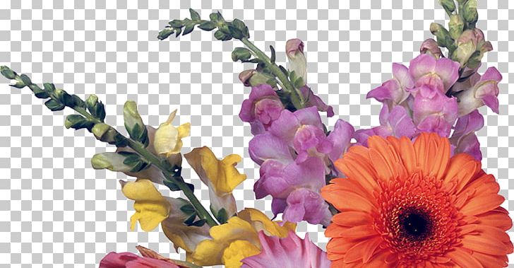 Floral Design Desktop Cut Flowers 1080p PNG, Clipart, 1080p, Artificial Flower, Cut Flowers, Desktop Wallpaper, Floral Design Free PNG Download