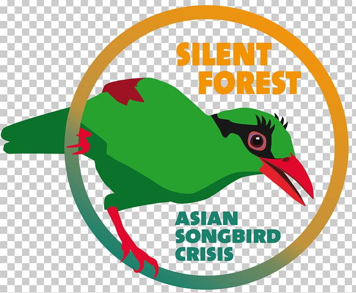 Songbird Asia Bojnice Zoo Liberec Zoo Bulbul PNG, Clipart, Area, Asia, Beak, Bird, Brand Free PNG Download