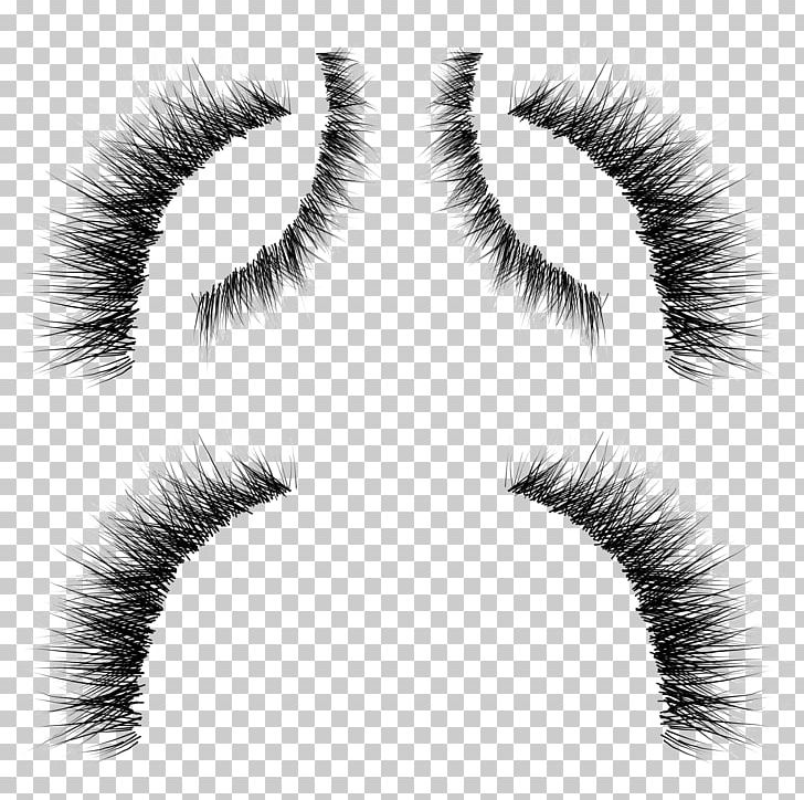 Eyelash Extensions Whiskers Eyebrow Cosmetics PNG, Clipart, Artificial Hair Integrations, Black And White, Cartoon, Closeup, Cosmetics Free PNG Download