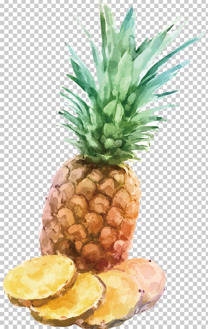 Pineapple Watercolor Painting INGE S.p.A Illustration PNG, Clipart, Aug, Bromeliaceae, Cartoon Pineapple, Drawing, Food Free PNG Download