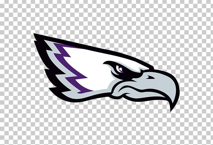 Reutlingen Eagles SSV Reutlingen 05 Fellbach Sports Association PNG, Clipart, Automotive Design, Beak, Bird, Bird Of Prey, Eagles Free PNG Download