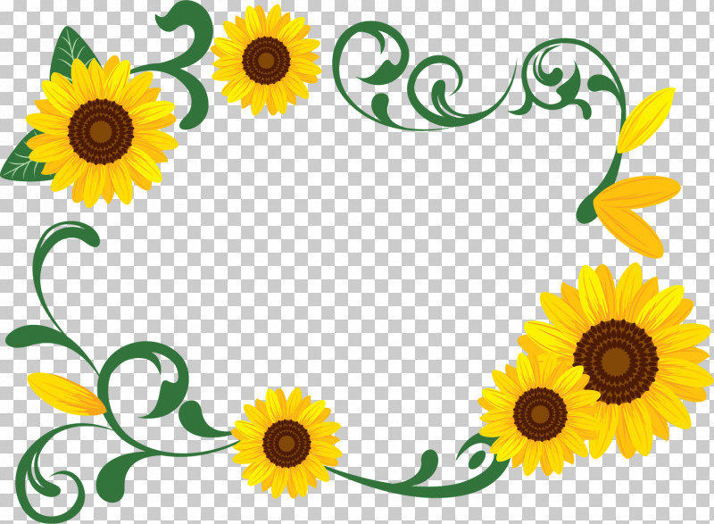 Sunflower Rectangular Frame Rectangular Frame Floral Frame PNG, Clipart, Floral Frame, Flower, Picture Frame, Plant, Rectangular Frame Free PNG Download