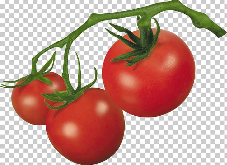 Cherry Tomato Roma Tomato PNG, Clipart, Bush Tomato, Diet Food, Eatclean, Eggs, Exercise Free PNG Download