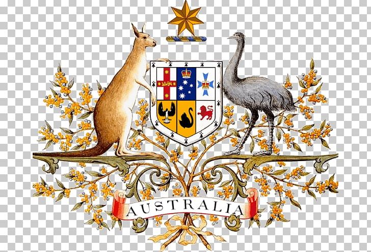 Coat Of Arms Of Australia Government Of Australia Geography Of Australia PNG, Clipart, Australia, Beak, Coat Of Arms, Coat Of Arms Of Australia, Commonwealth Of Nations Free PNG Download