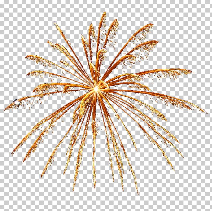 Fireworks Firecracker PNG, Clipart, 21gun Salute, Bleed, Chinese New Year, Christmas Cracker, Commodity Free PNG Download
