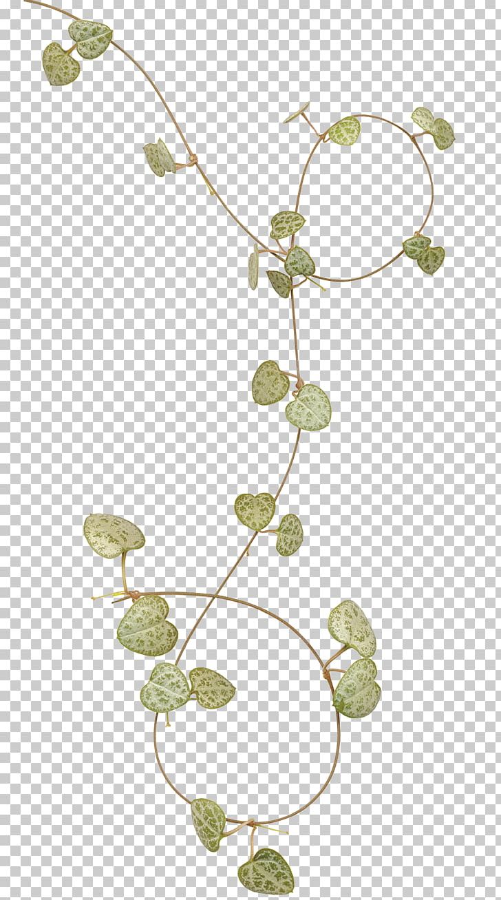 Frame Leaf PNG, Clipart, Autumn Leaves, Banana Leaves, Branch, Branches, Branches And Leaves Free PNG Download