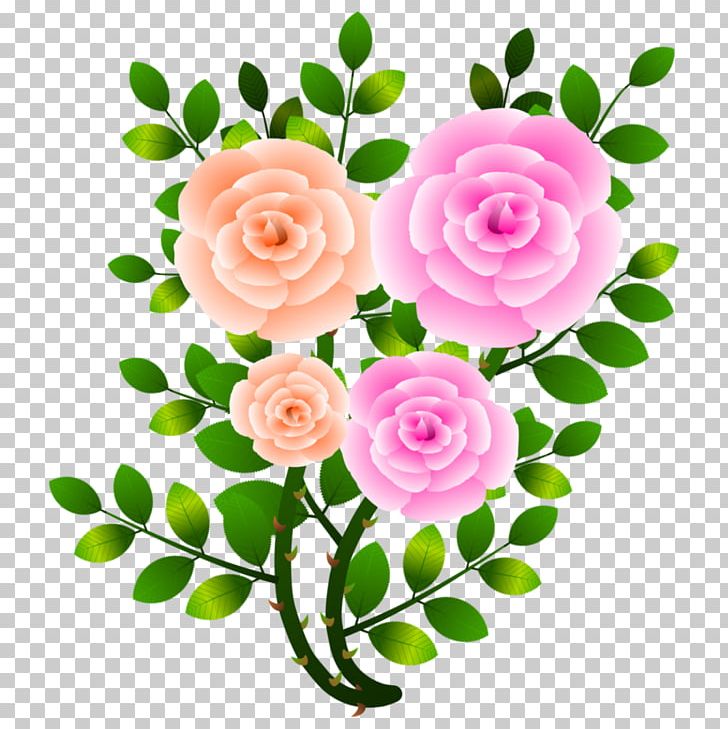Garden Roses Cabbage Rose Cut Flowers PNG, Clipart, Blog, Branch, Cut Flowers, Flora, Floral Design Free PNG Download