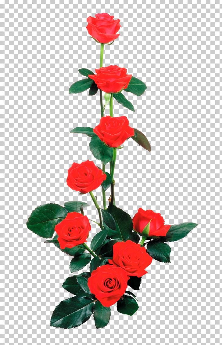 Garden Roses Flower PNG, Clipart, Artificial Flower, Desktop Wallpaper, Flower, Flower Arranging, Flowers Free PNG Download