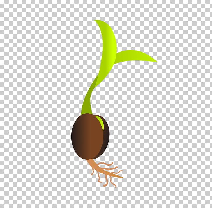 Germination Seed Sprouting Bud PNG, Clipart, Bud, Cereal Germ, Clip Art, Computer Wallpaper, Embryo Free PNG Download