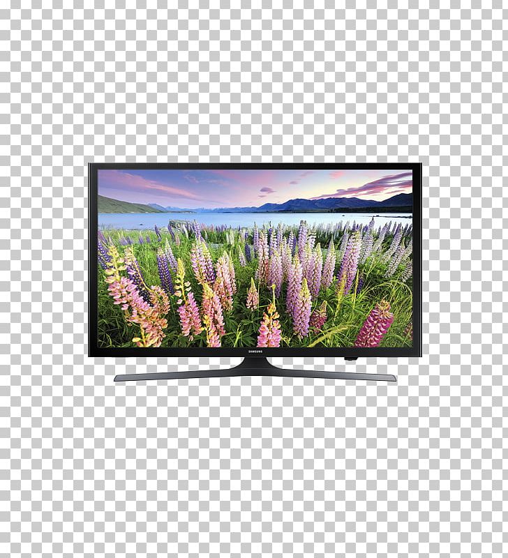 High-definition Television LED-backlit LCD Samsung 1080p Smart TV PNG, Clipart, 1080p, Display Device, Ecosystem, Flat Panel Display, Flora Free PNG Download