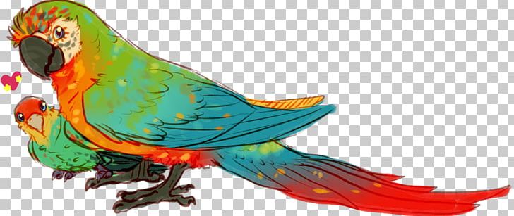 Macaw Parakeet Bird Loriini Feather PNG, Clipart, Animal, Animal Figure, Art, Beak, Bird Free PNG Download