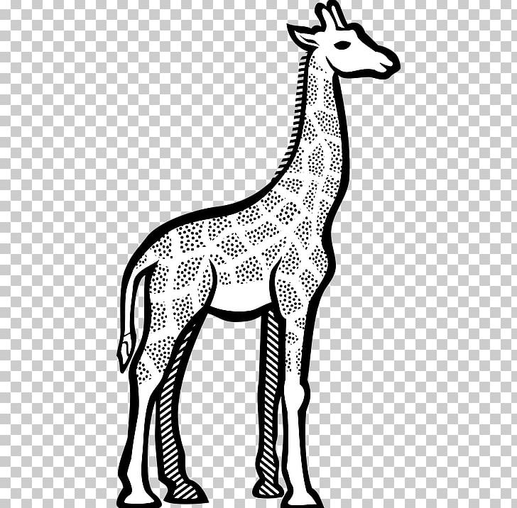 Giraffe Line Art Graphics Drawing PNG, Clipart, Animals, Art, Artwork, Black And White, Computer Icons Free PNG Download