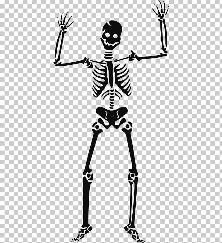 Human Skeleton PNG, Clipart, Area, Art, Black And White, Bone, Cartoon Free PNG Download