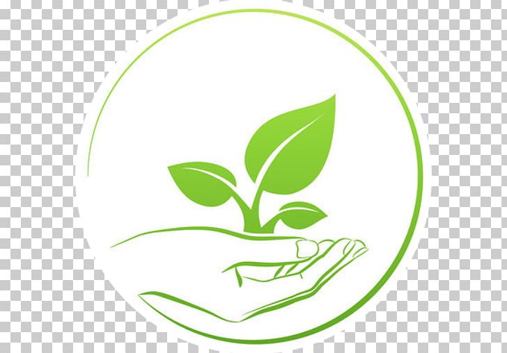 Plant PNG, Clipart, Botanical Illustration, Computer Icons, Concept, Depositphotos, Encapsulated Postscript Free PNG Download