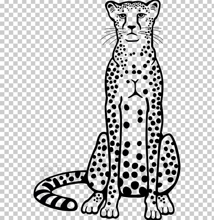 Cheetah Drawing Line Art PNG, Clipart, Animals, Art, Artwork, Big Cats, Black Free PNG Download