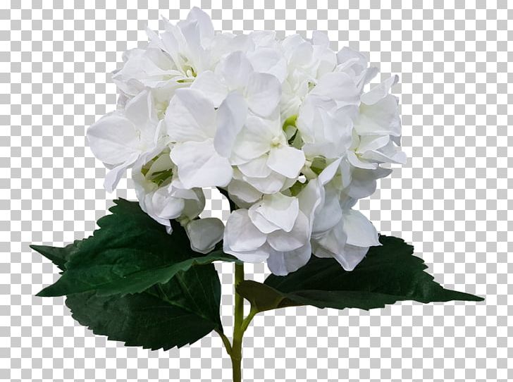 Cut Flowers Hydrangea Artificial Flower Flower Bouquet PNG, Clipart, Annual Plant, Artificial Flower, Cornales, Cut Flowers, Flower Free PNG Download