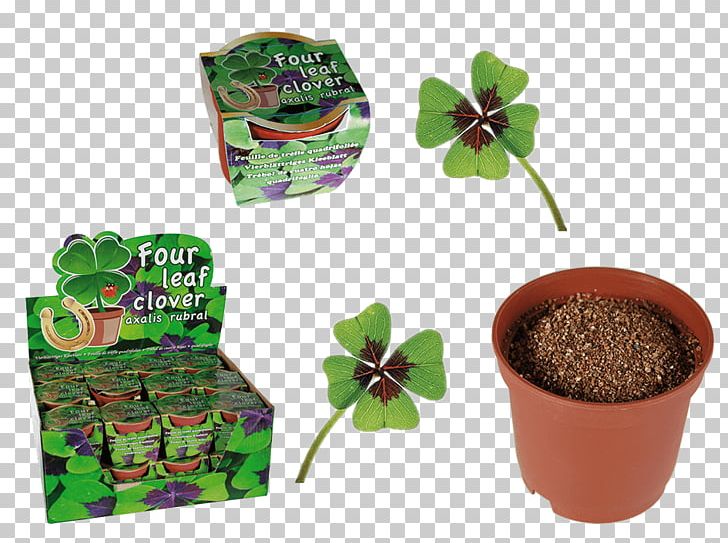 Four-leaf Clover Luck Trefoil Iron Cross PNG, Clipart, Bulb, Clover, Flowerpot, Fourleaf Clover, Gift Free PNG Download