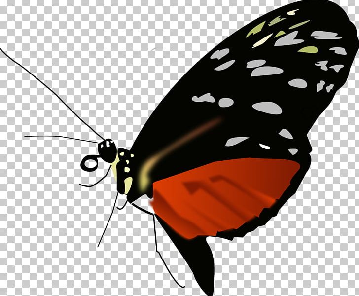 Monarch Butterfly Insect PNG, Clipart, Arthropod, Brush Footed Butterfly, Butterflies And Moths, Butterfly, Butterfly Black Free PNG Download