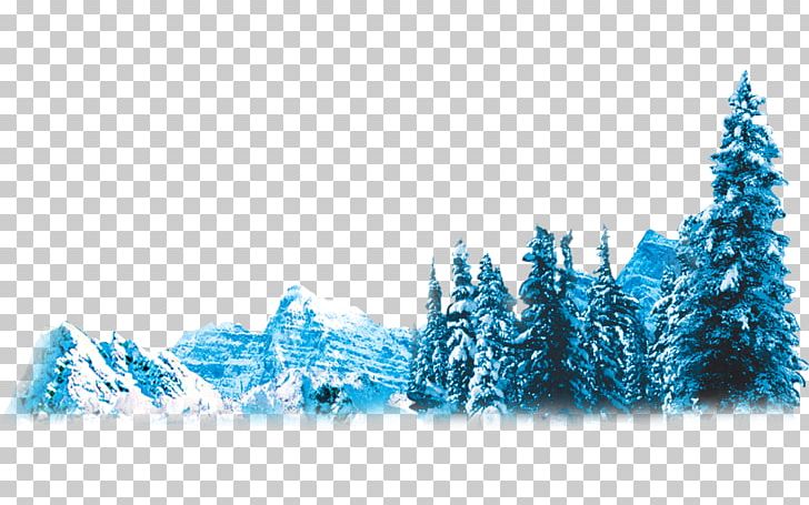Pine Fir Winter Iceberg PNG, Clipart, Aqua, Blue, Computer Wallpaper, Fir, Ice Free PNG Download