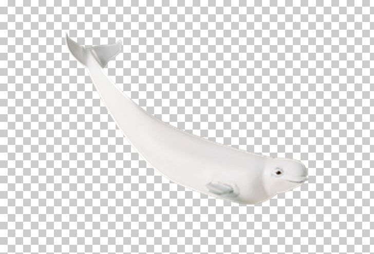 Beluga Whale Stuffed Animals & Cuddly Toys Cetaceans Shedd Aquarium PNG, Clipart, Beluga, Beluga Whale, Bowhead Whale, Killer Whale, Mammal Free PNG Download