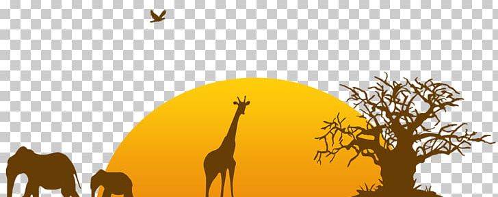 Web Processing Service GDAL Zoo PNG, Clipart, Computer Icons, Computer Wallpaper, Data, Dpi, Fauna Free PNG Download