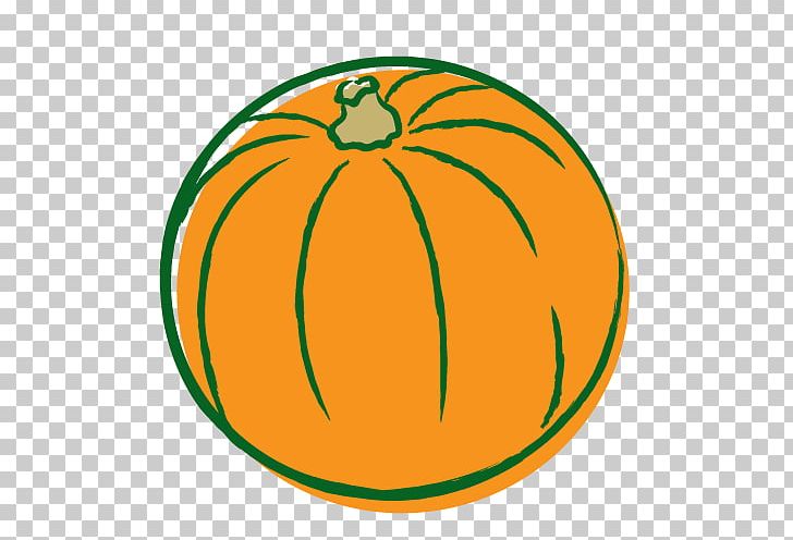 Pumpkin Winter Squash Calabaza Melon Cucurbita PNG, Clipart, Area, Calabaza, Circle, Commodity, Cucumber Gourd And Melon Family Free PNG Download