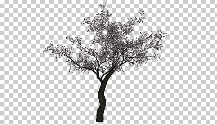 Twig Green Tree RGB Color Model PNG, Clipart, Black, Black And White, Blog, Branch, Cherry Tree Free PNG Download