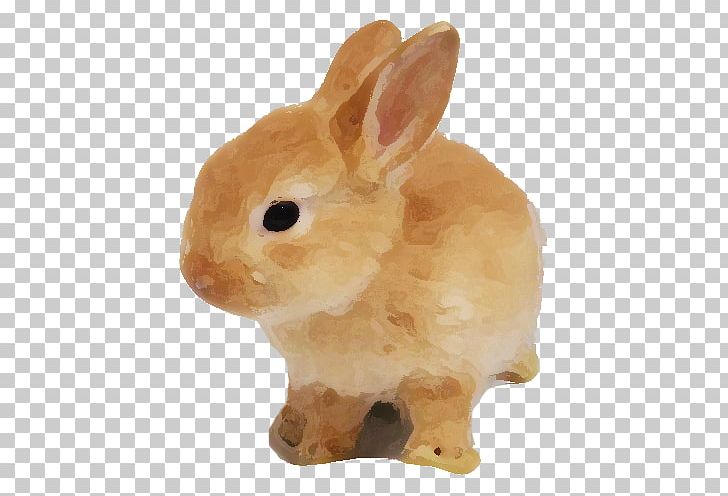 Domestic Rabbit Hare Photography PNG, Clipart, Animal, Animals, Domestic Rabbit, Hare, Herbivore Free PNG Download