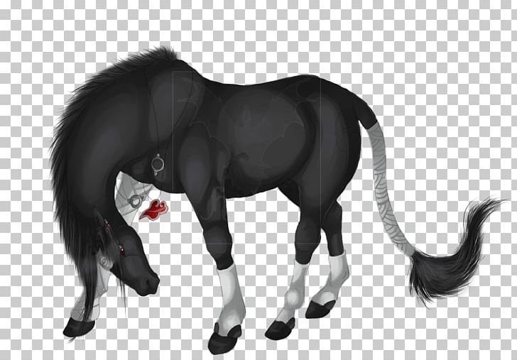 Mane Mustang Stallion Pony Mare PNG, Clipart, Halter, Horse, Horse Like Mammal, Horse Supplies, Horse Tack Free PNG Download