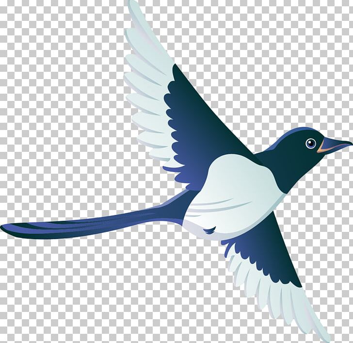 Bird Drawing PNG, Clipart, Animals, Beak, Bird, Birds, Blue Jay Free PNG Download