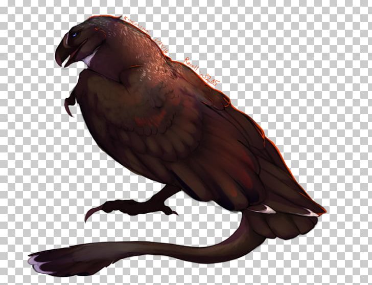 Drogon June 25 Beak Daenerys Targaryen PNG, Clipart, Artist, Beak, Bird, Computer Software, Daenerys Targaryen Free PNG Download