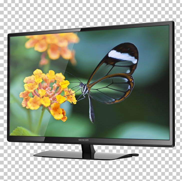 LED-backlit LCD HD Ready USB Light-emitting Diode Display Resolution PNG, Clipart, 1080p, Brush Footed Butterfly, Butterfly, Computer Monitor, Electronics Free PNG Download