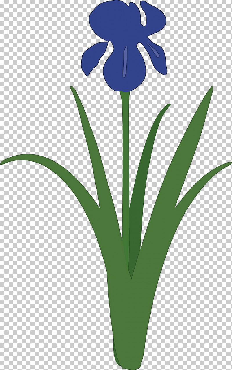 Iris Flower Spring Flower PNG, Clipart, Flower, Iris, Iris Family, Iris Flower, Logo Free PNG Download