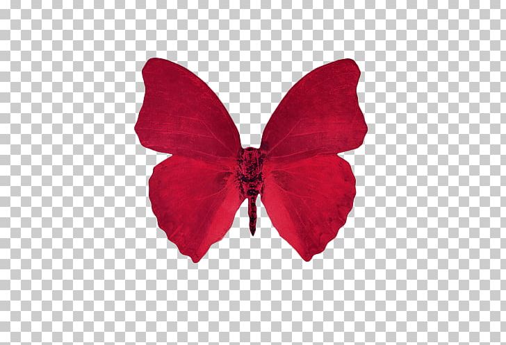 Butterfly Desktop Aesthetics PNG, Clipart, Aesthetics, Art, Butterfly, Clip Art, Computer Icons Free PNG Download