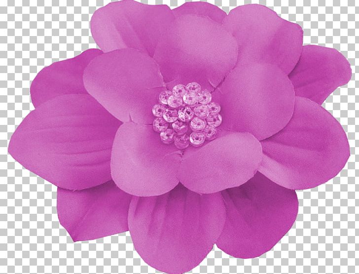Dahlia Cut Flowers Pink M Rose Family PNG, Clipart, Cut Flowers, Dahlia, Flower, Flowering Plant, Flowers Free PNG Download