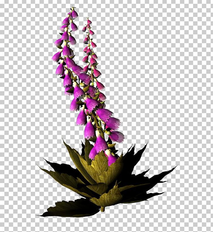 Floral Design Cut Flowers Blume PNG, Clipart, 13 June, Blume, Cicek, Cicek Resimleri, Cut Flowers Free PNG Download