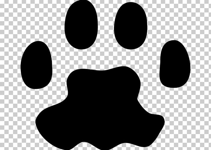 Polydactyl Cat Dog Paw PNG, Clipart, Animal, Animal Track, Black, Black And White, Cat Free PNG Download